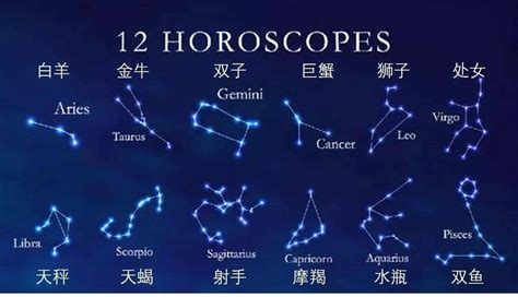 12月21是什麼星座|射手座（占星学术语）